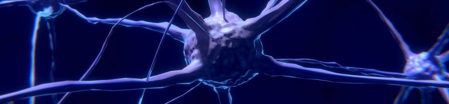 Nerve Pain & Trapped Nerves Nerve Pain & Trapped Nerves