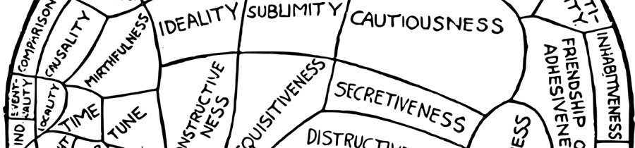BrainWorking Recursive Therapy®